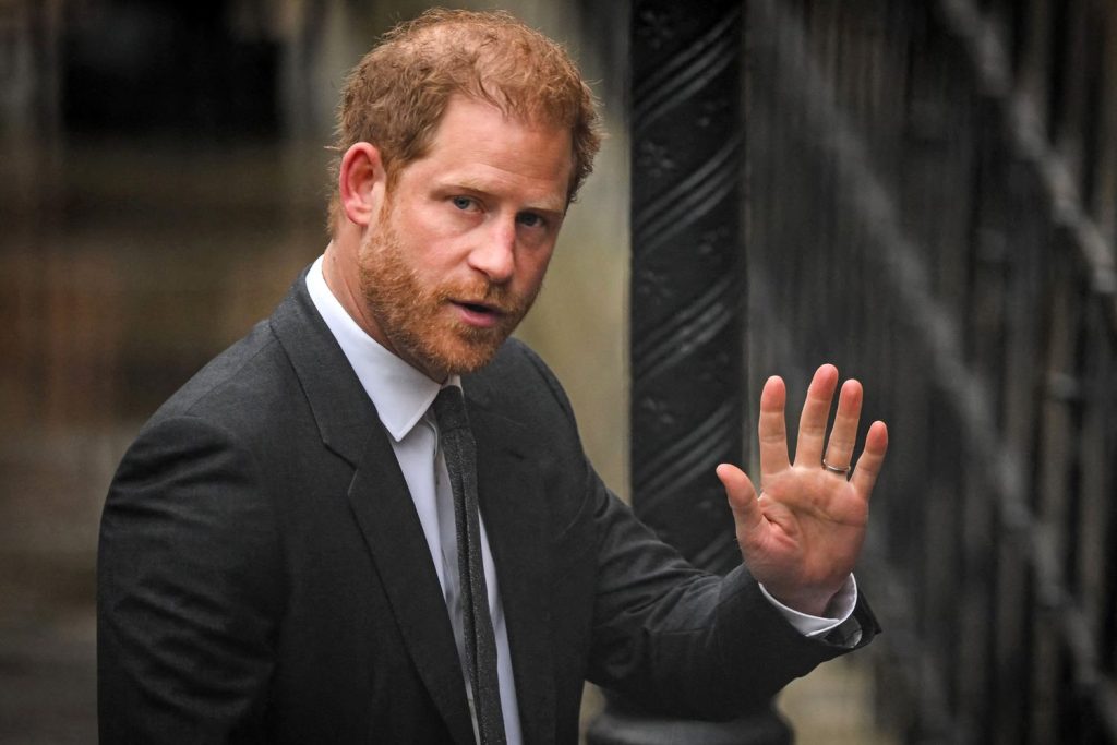 Should Prince Harry Return to Royal Duties
